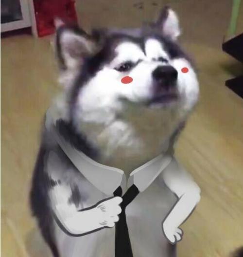 1600142363346922.jpg u=4188953803,2901774103&fm=26&gp=0.jpg