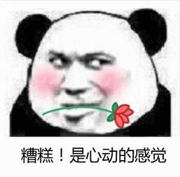 心动的感觉.jpg