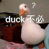 duck不必.jpg