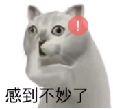 1609123715297649.png 感觉不妙.png