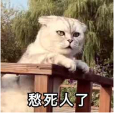 1610351151452082.png image.png