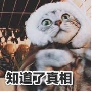知道真相.png